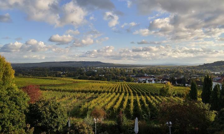 Weingut Magdalenenhof